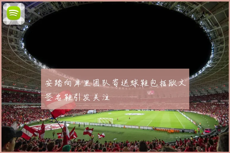 安踏向库里团队寄送球鞋包括欧文签名鞋引发关注