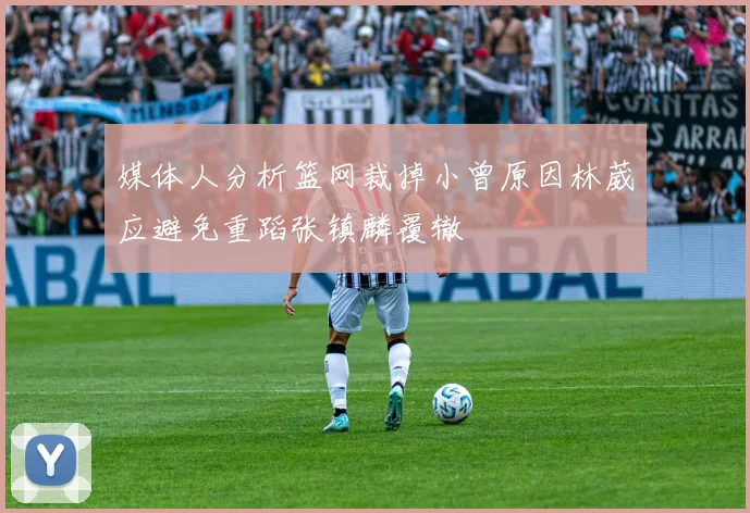 媒体人分析篮网裁掉小曾原因林葳应避免重蹈张镇麟覆辙