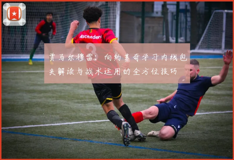 贾马尔穆雷：向约基奇学习内线包夹解读与战术运用的全方位技巧