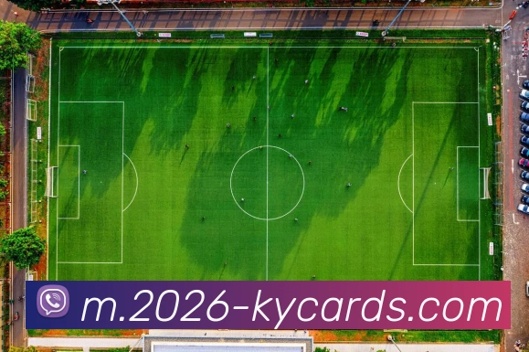 开云棋牌官网平台生态图